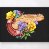 Codex Anatomicus Digestive System^Pancreas anatomy - Floral - Black