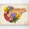 Codex Anatomicus Digestive System^Pancreas anatomy - Floral - Vintage
