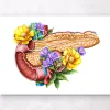 Codex Anatomicus Digestive System^Pancreas anatomy - Floral - White