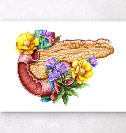 Codex Anatomicus Digestive System^Pancreas anatomy - Floral - White