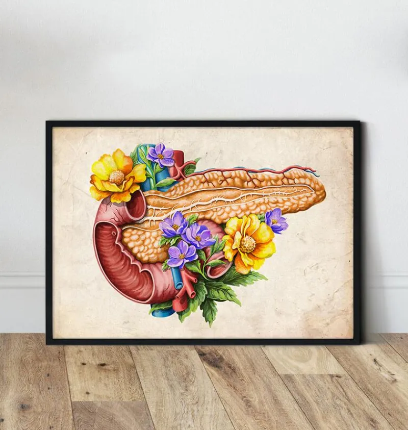 Codex Anatomicus Digestive System^Pancreas anatomy - Floral - Vintage