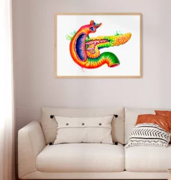 Codex Anatomicus Various Organs | Digestive System^Pancreas anatomy art - Watercolor splash