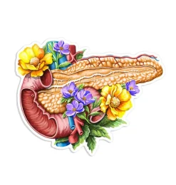 Codex Anatomicus Stickers^Pancreas anatomy sticker - Floral
