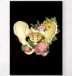 Codex Anatomicus Skull & Skeleton^Pelvis anatomy - Floral - Black