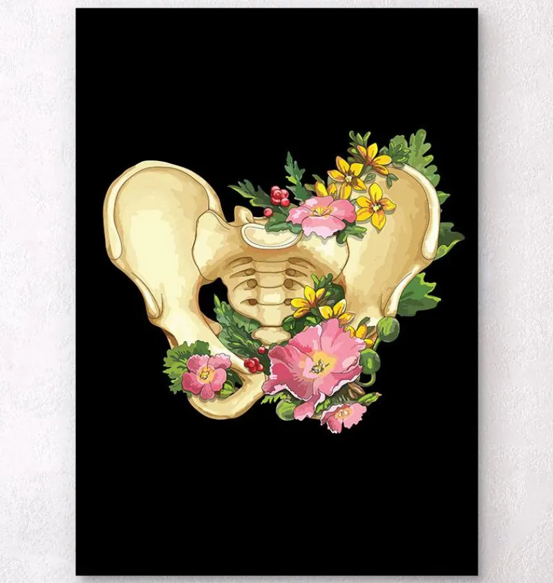 Codex Anatomicus Skull & Skeleton^Pelvis anatomy - Floral - Black