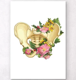 Codex Anatomicus Skull & Skeleton^Pelvis anatomy - Floral - White