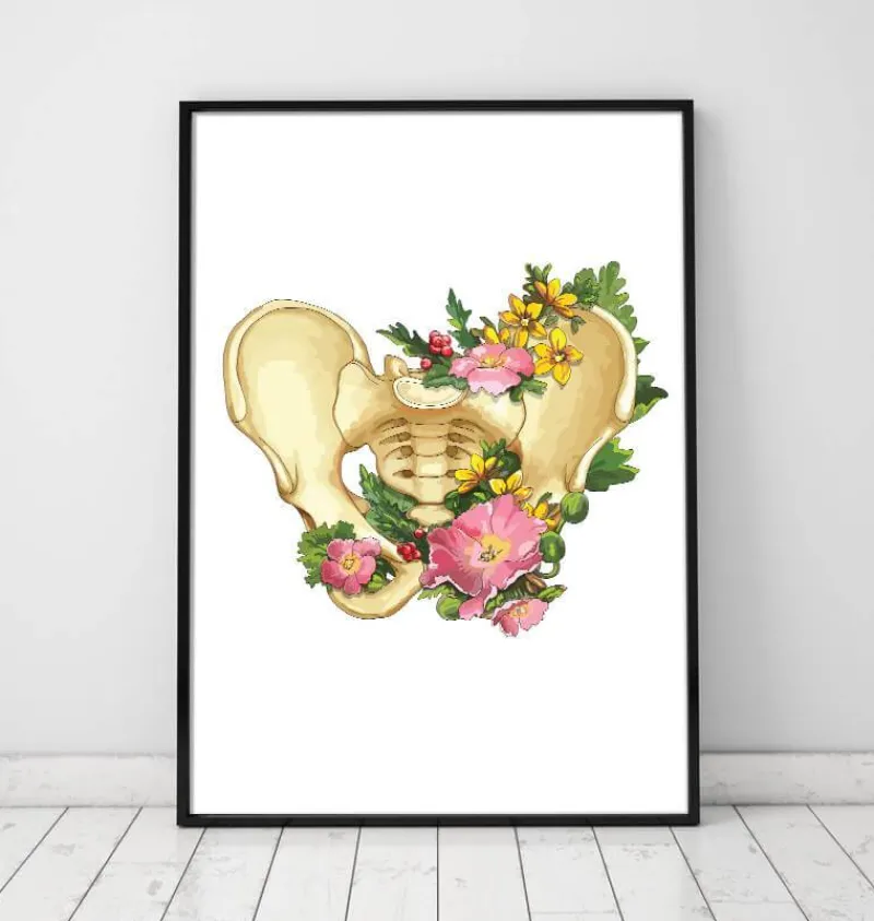 Codex Anatomicus Skull & Skeleton^Pelvis anatomy - Floral - White