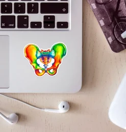 Codex Anatomicus Stickers^Pelvis anatomy sticker - Watercolor Splash