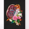 Codex Anatomicus Obstetrics & Gynecology^Placenta anatomy - Floral - Black