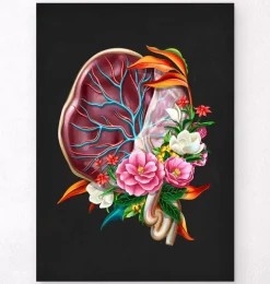 Codex Anatomicus Obstetrics & Gynecology^Placenta anatomy - Floral - Black