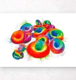 Codex Anatomicus Various Organs^Red blood cells - Watercolor splash