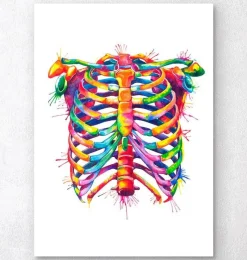 Codex Anatomicus Skull & Skeleton^Rib cage - Watercolor splash