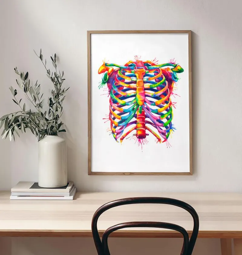 Codex Anatomicus Skull & Skeleton^Rib cage - Watercolor splash