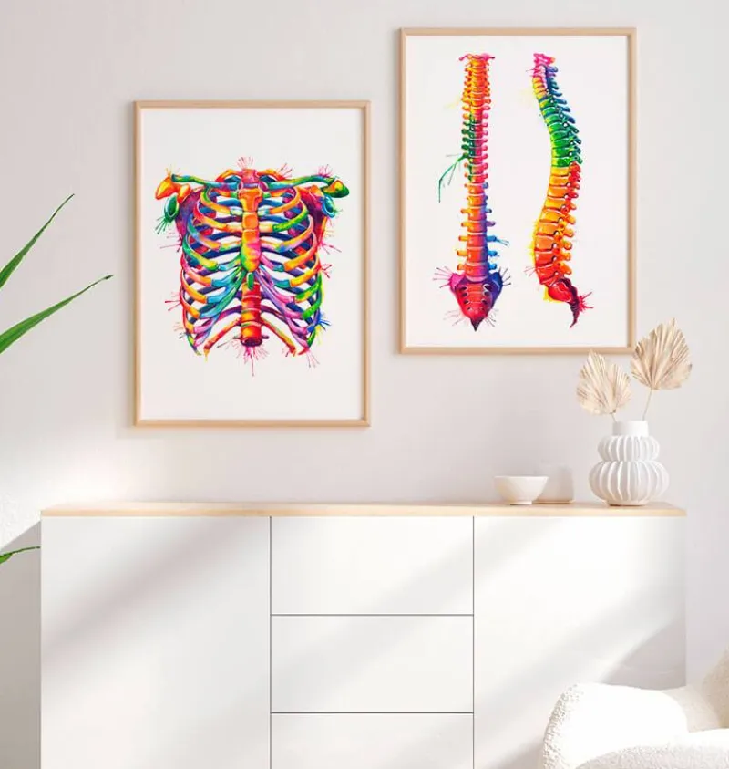Codex Anatomicus Skull & Skeleton^Rib cage - Watercolor splash