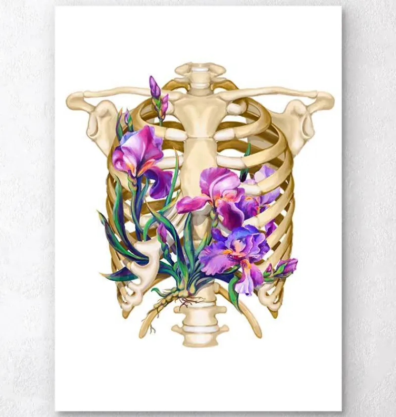 Codex Anatomicus Skull & Skeleton^Rib cage anatomy - Floral - White