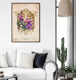 Codex Anatomicus Skull & Skeleton^Rib cage anatomy - Floral - Vintage