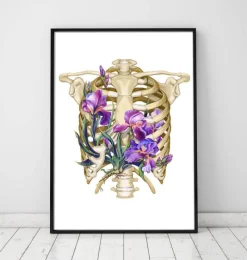 Codex Anatomicus Skull & Skeleton^Rib cage anatomy - Floral - White