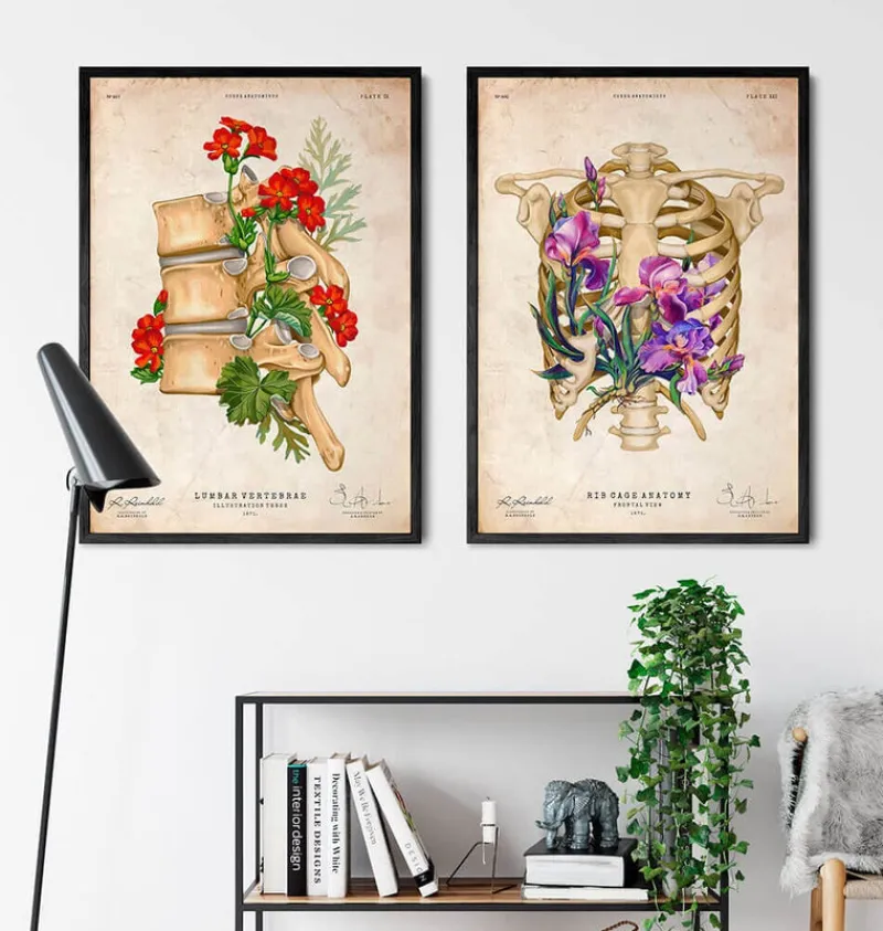 Codex Anatomicus Skull & Skeleton^Rib cage anatomy - Floral - Vintage