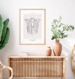 Codex Anatomicus Skull & Skeleton^Rib cage anatomy - Line Art