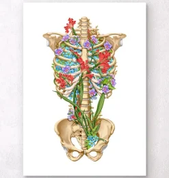 Codex Anatomicus Skull & Skeleton^Rib cage anatomy II - Floral - White