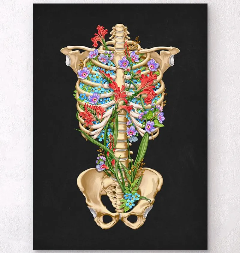 Codex Anatomicus Skull & Skeleton^Rib cage anatomy II - Floral - Black