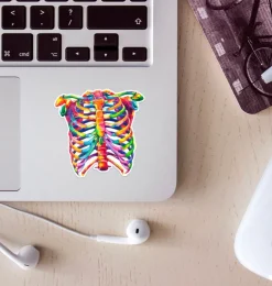 Codex Anatomicus Stickers^Rib cage anatomy sticker - Watercolor Splash