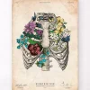 Codex Anatomicus Skull & Skeleton^Rib cage II - Floral - Vintage