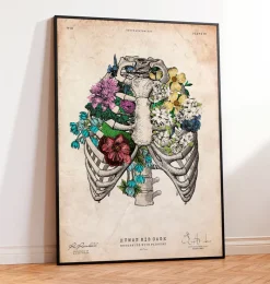 Codex Anatomicus Skull & Skeleton^Rib cage II - Floral - Vintage