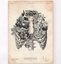 Codex Anatomicus Skull & Skeleton^Rib cage print