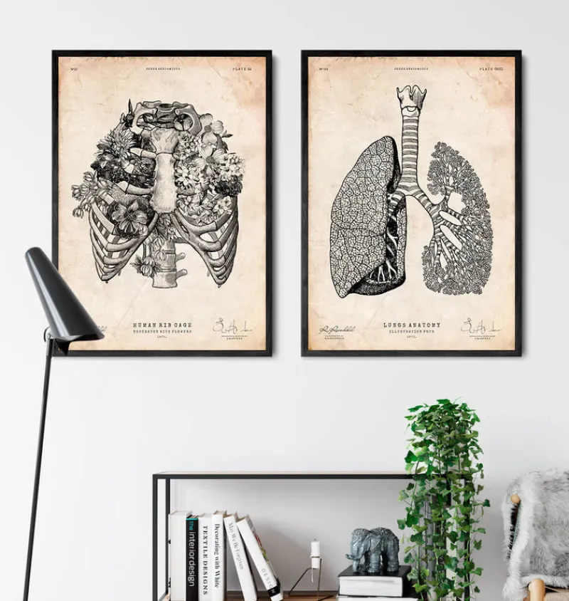 Codex Anatomicus Skull & Skeleton^Rib cage print