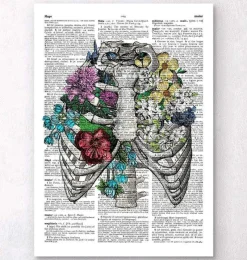 Codex Anatomicus Skull & Skeleton^Rib cage with flowers - Dictionary page