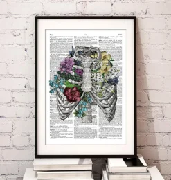 Codex Anatomicus Skull & Skeleton^Rib cage with flowers - Dictionary page