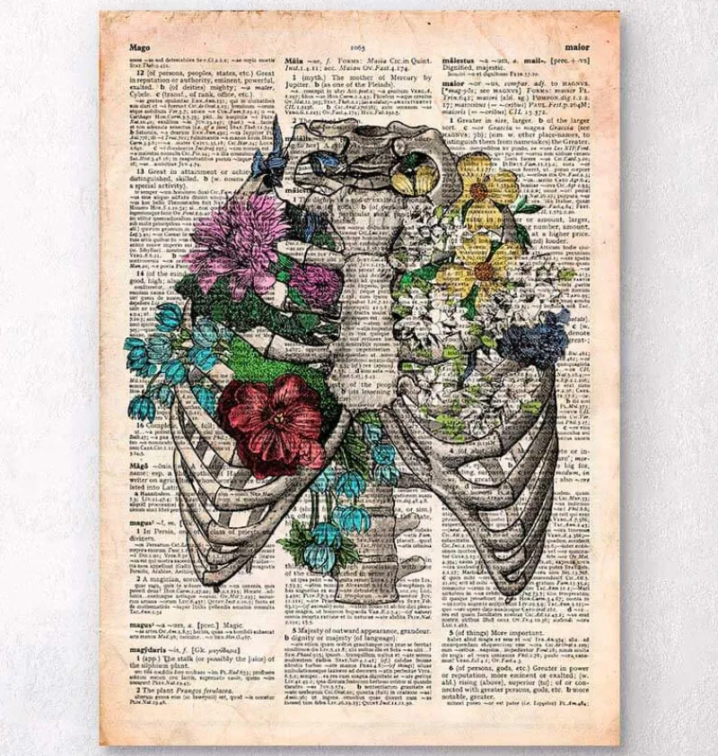 Codex Anatomicus Skull & Skeleton^Rib cage with flowers - Old dictionary page