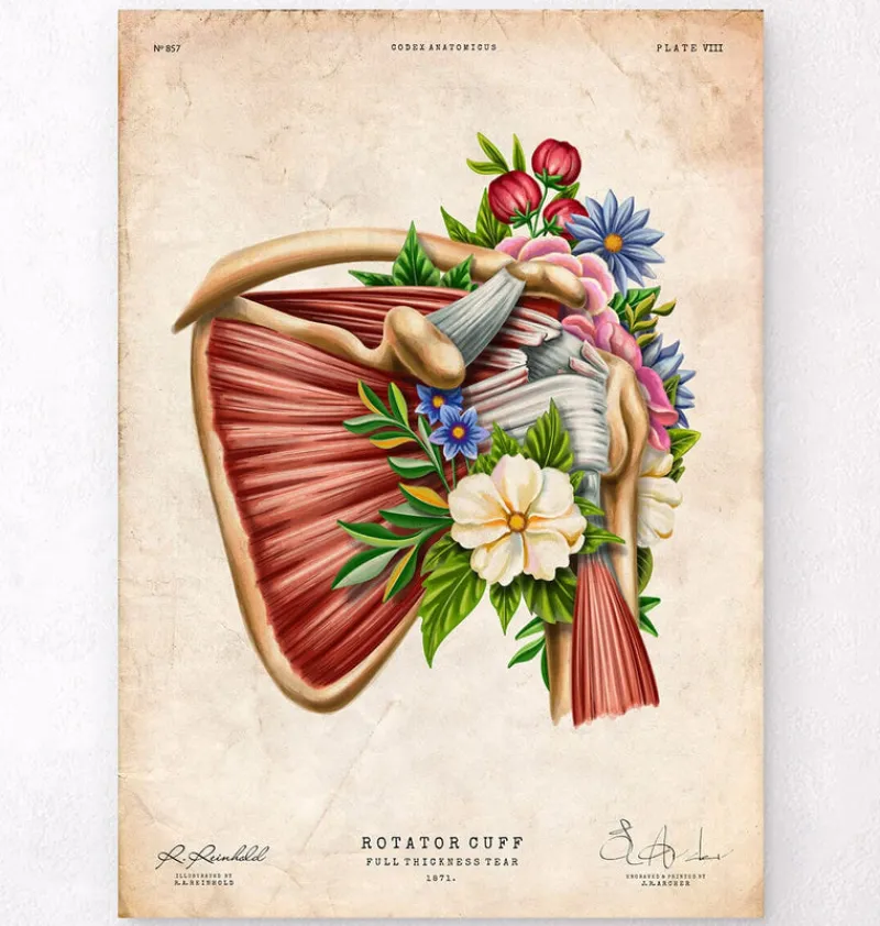 Codex Anatomicus Skull & Skeleton^Rotator cuff tear - Floral - Vintage