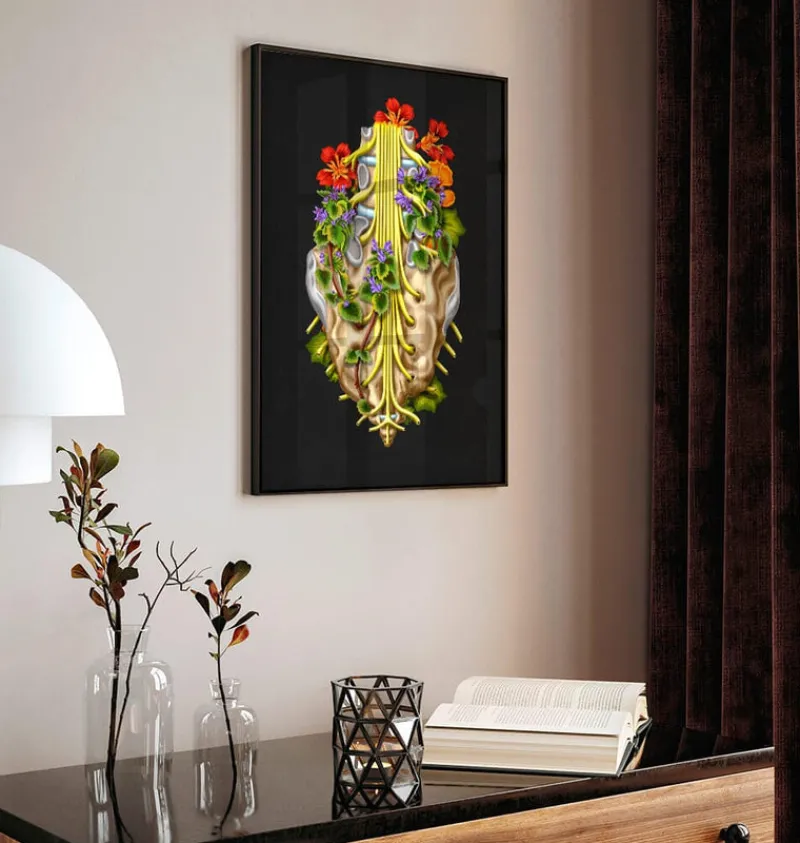 Codex Anatomicus Skull & Skeleton^Sacral nerves - Floral - Black