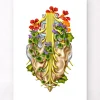 Codex Anatomicus Skull & Skeleton^Sacral nerves - Floral - White