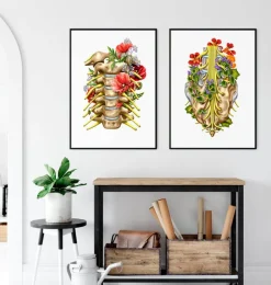 Codex Anatomicus Skull & Skeleton^Sacral nerves - Floral - White