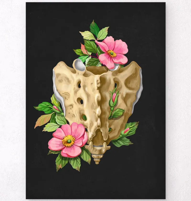 Codex Anatomicus Skull & Skeleton^Sacrum and Coccyx - Floral - Black