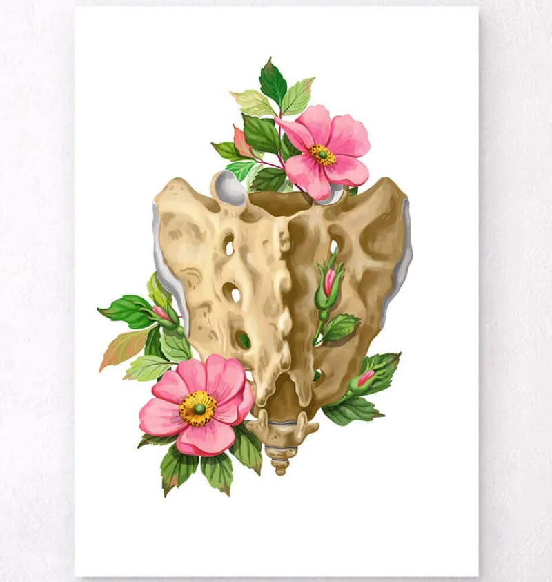 Codex Anatomicus Skull & Skeleton^Sacrum and Coccyx - Floral - White