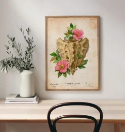Codex Anatomicus Skull & Skeleton^Sacrum and Coccyx - Floral - Vintage