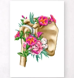 Codex Anatomicus Skull & Skeleton^Shoulder anatomy - Floral - White