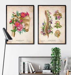 Codex Anatomicus Skull & Skeleton^Shoulder anatomy - Floral - Vintage