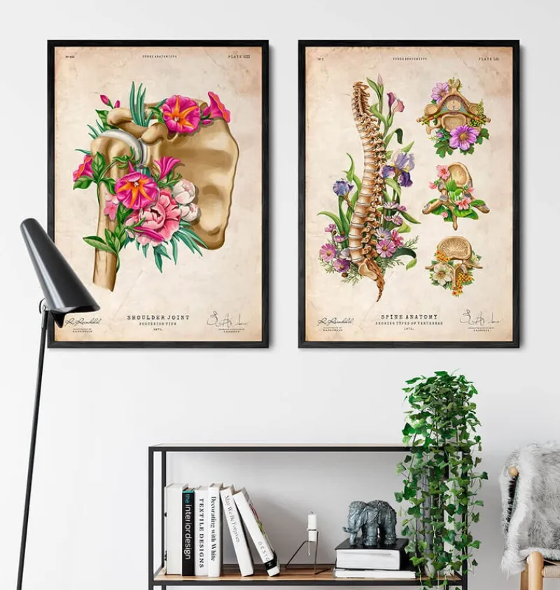 Codex Anatomicus Skull & Skeleton^Shoulder anatomy - Floral - Vintage