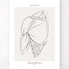 Codex Anatomicus Skull & Skeleton^Shoulder muscles anatomy - Line Art