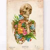 Codex Anatomicus Skull & Skeleton^Skeleton anatomy - Floral - Vintage