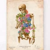 Codex Anatomicus Skull & Skeleton^Skeleton anatomy II - Floral - Vintage