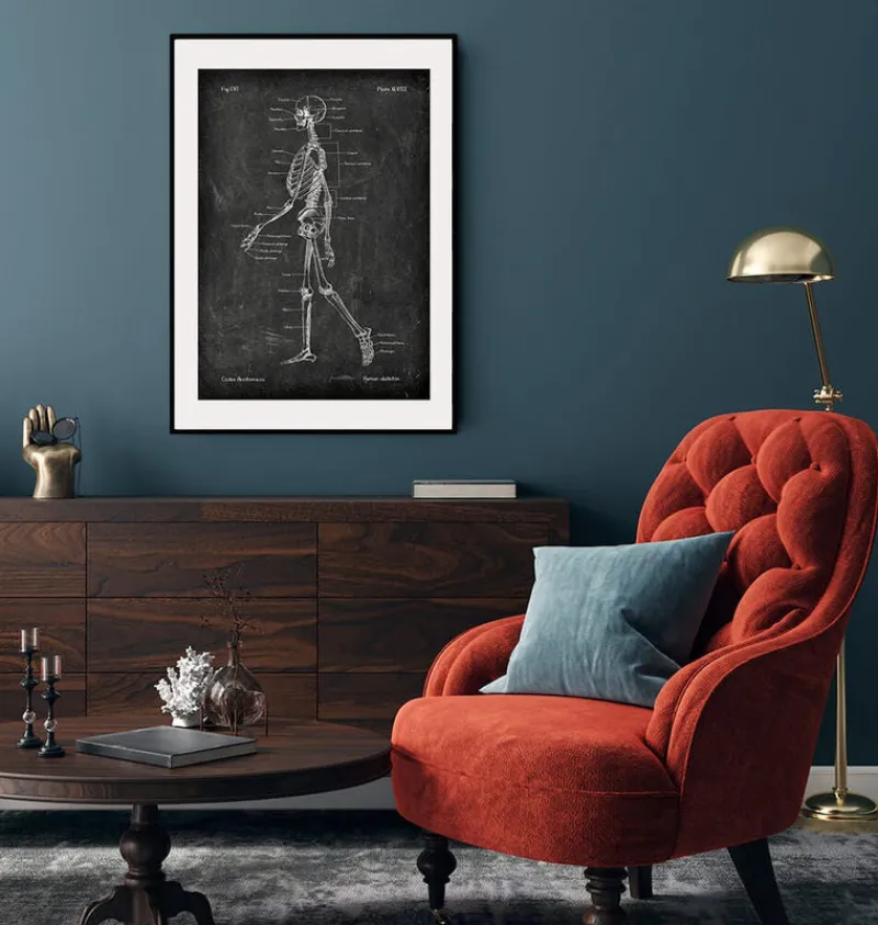 Codex Anatomicus Skull & Skeleton^Skeleton chart - Chalkboard