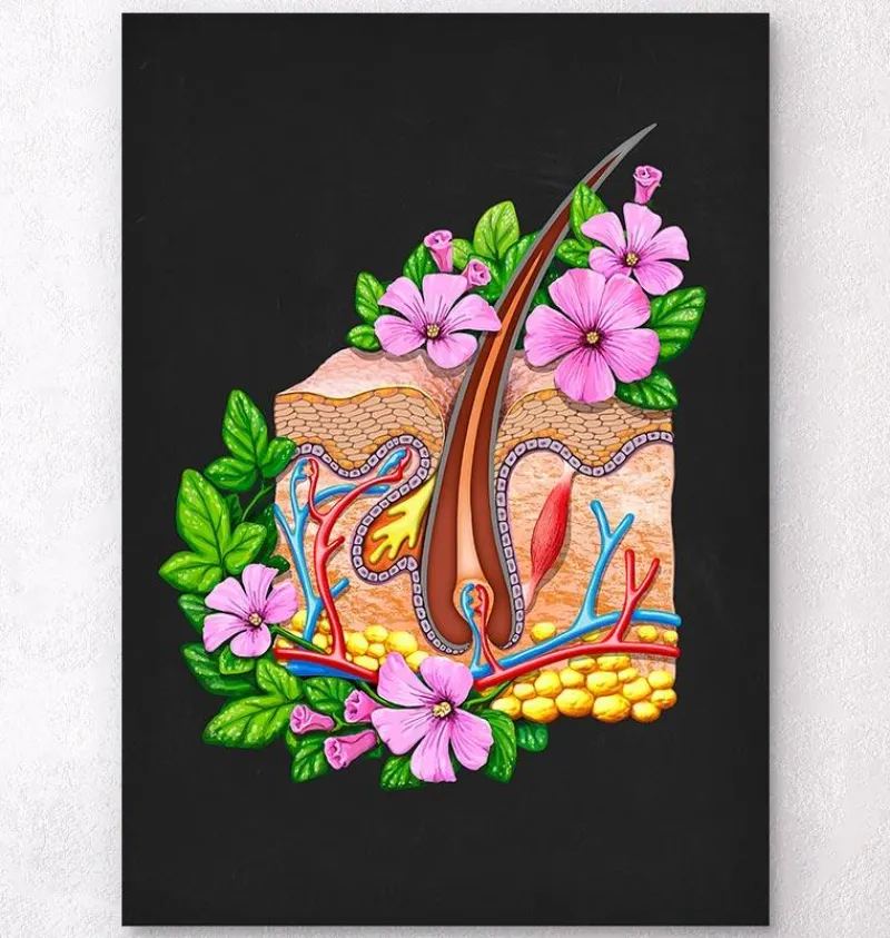 Codex Anatomicus Various Organs^Skin anatomy - Floral - Black