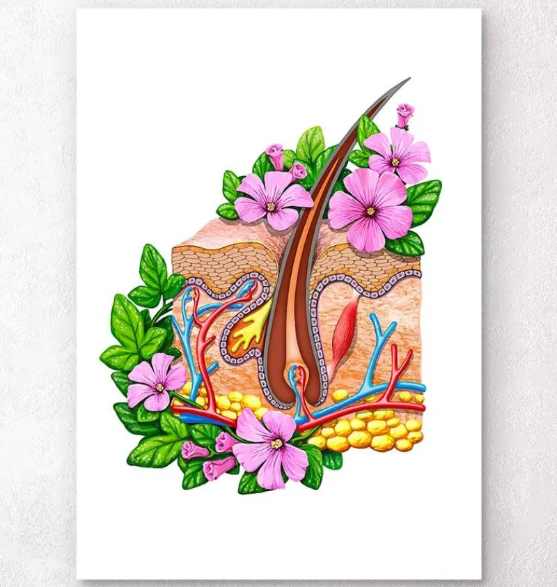 Codex Anatomicus Various Organs^Skin anatomy - Floral - White