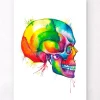 Codex Anatomicus Skull & Skeleton^Skull - Watercolor splash